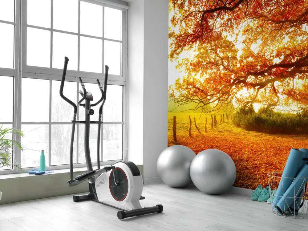 Herbstlandschaft mit Wald und Wiese