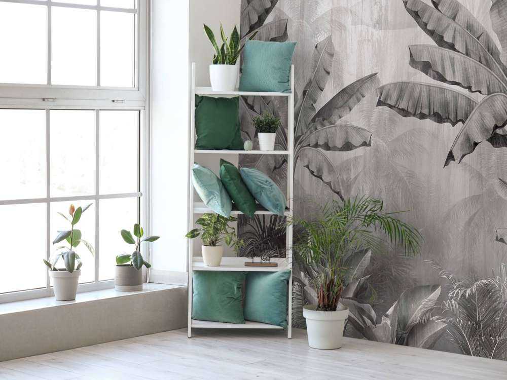 Tropische Nevelpalmen