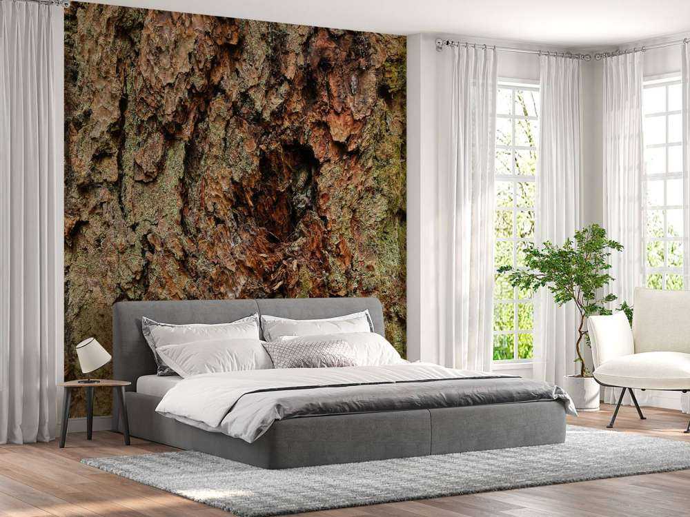 Baumrinde alter Baum 