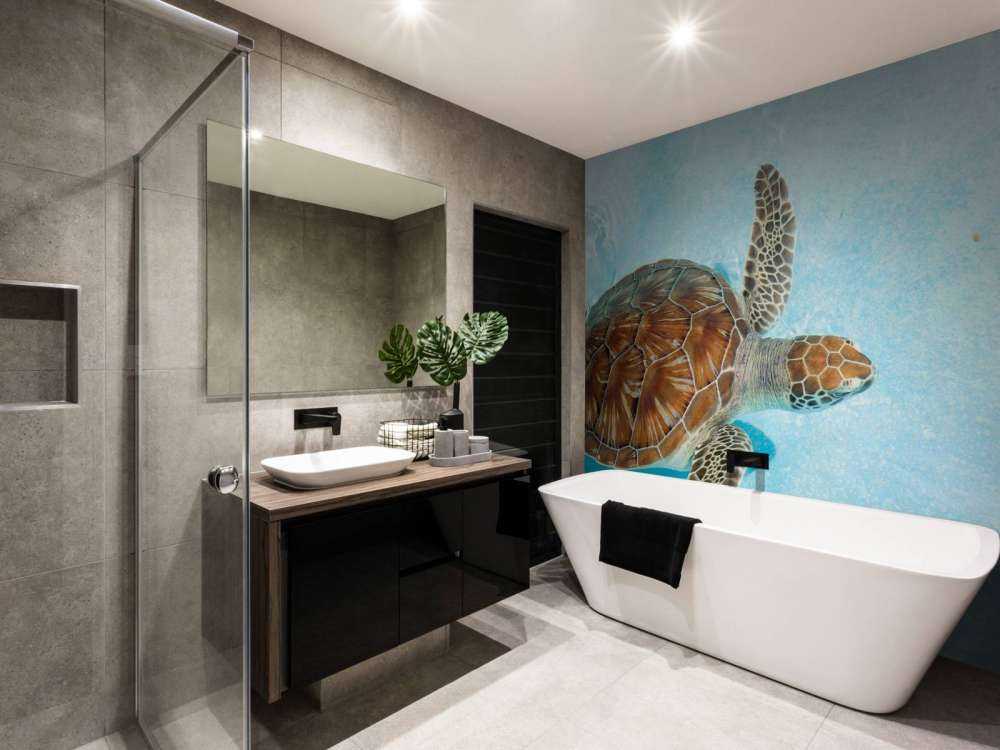 Schildkröte im Wasser