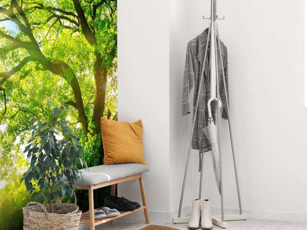 Baum mit Sonnenstrahlen