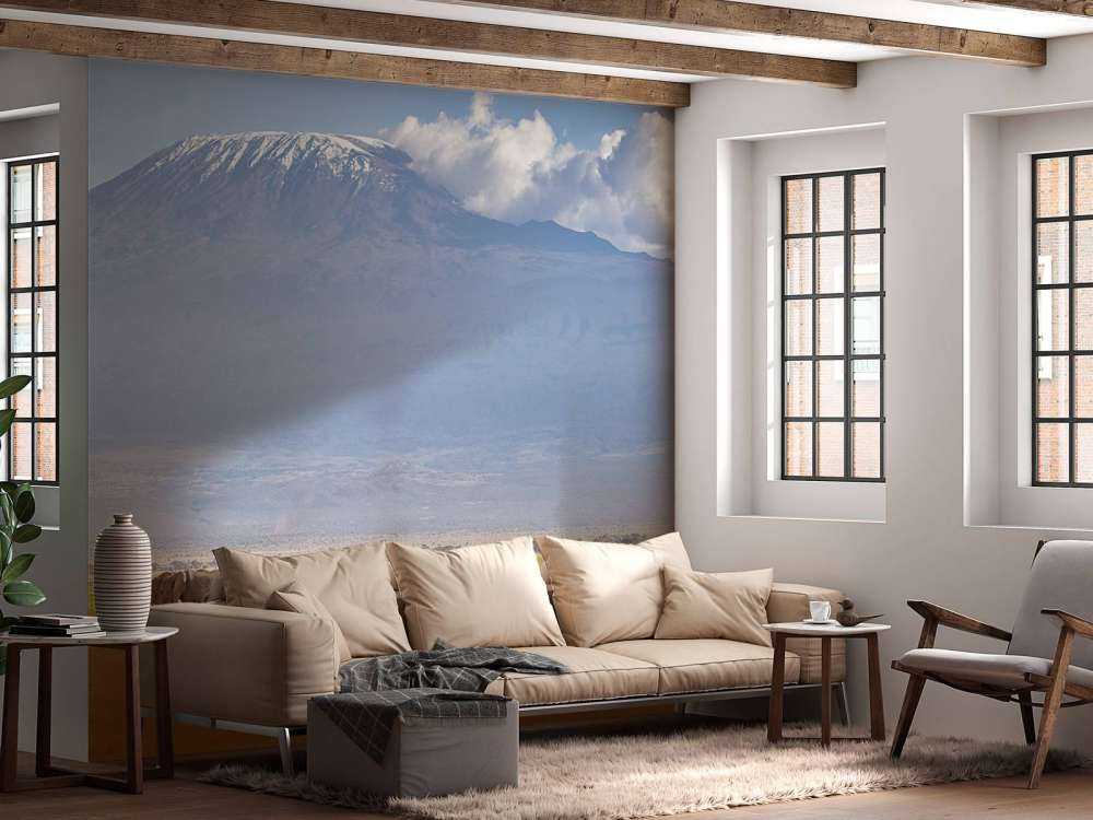 Afrikanische Elefanten