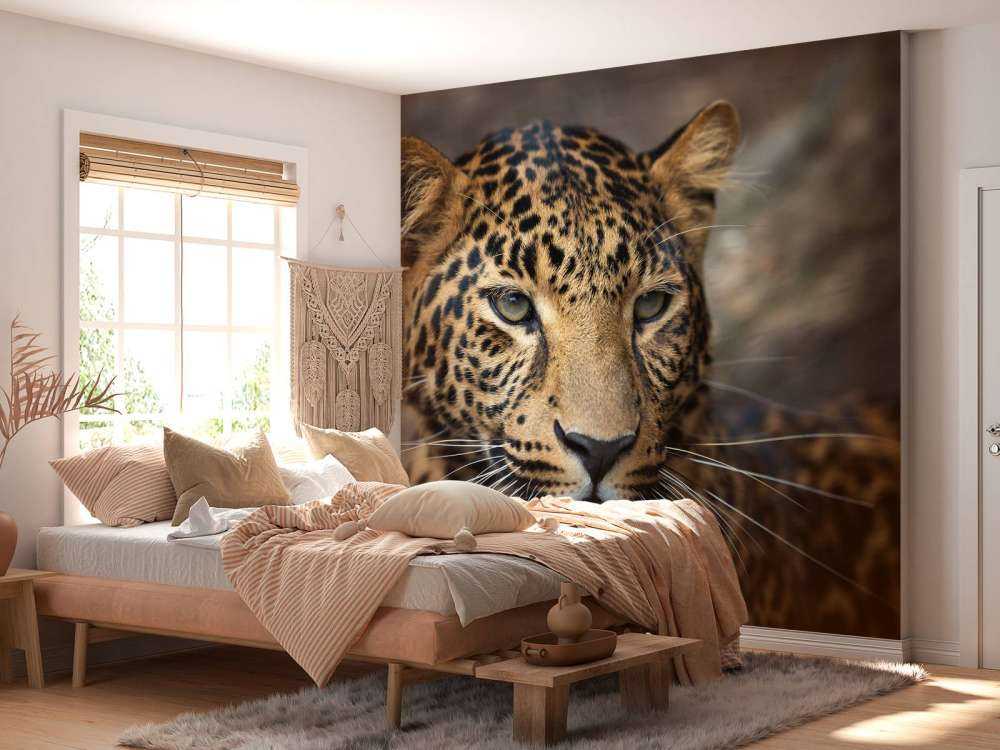 Close, up eines Leoparden