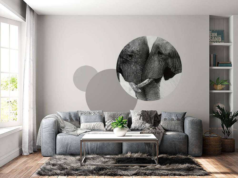 Fototapete Elefanten