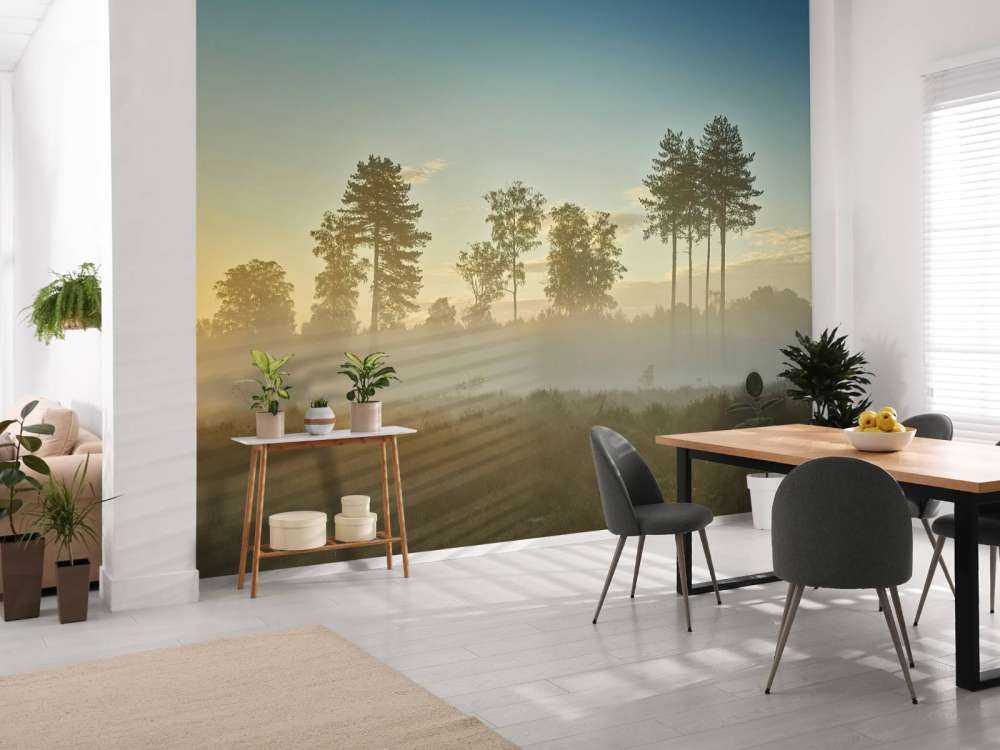 Neblige Moorlandschaft