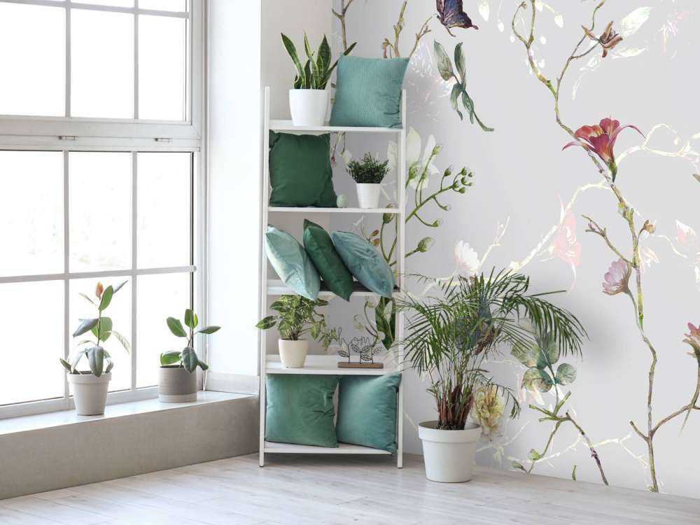 Schmetterlingsflora Lichtspiel