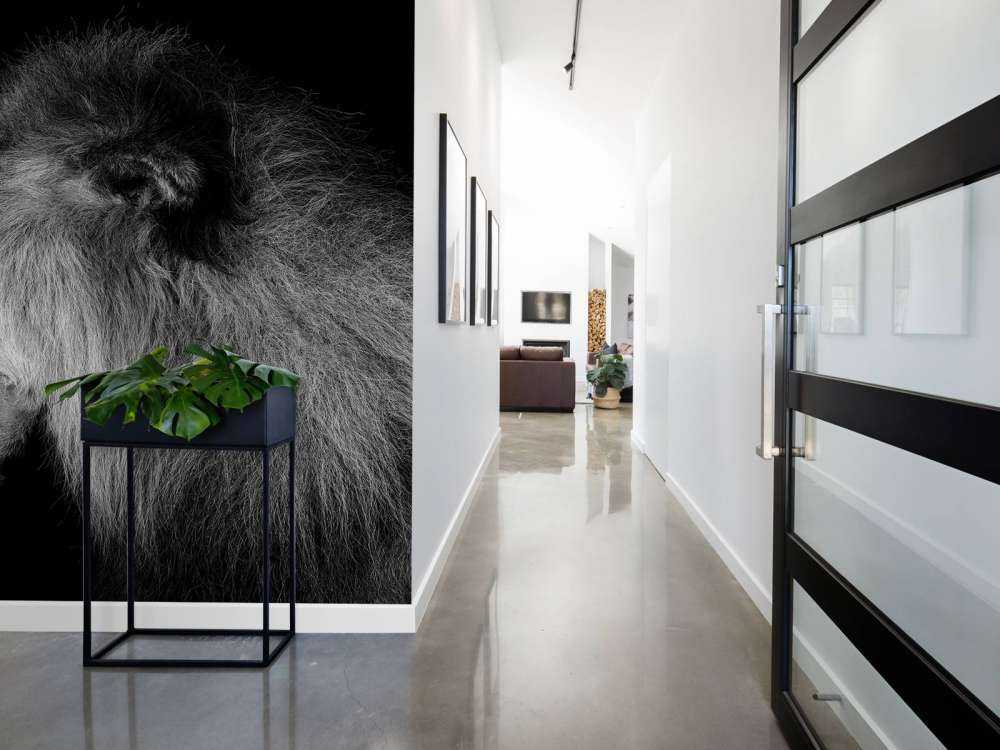 Brüllender Löwe schwarz