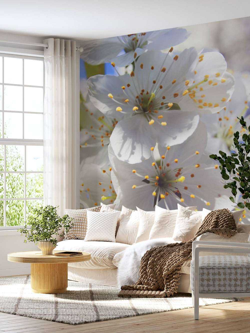 Nahaufnahme weiße Blüten