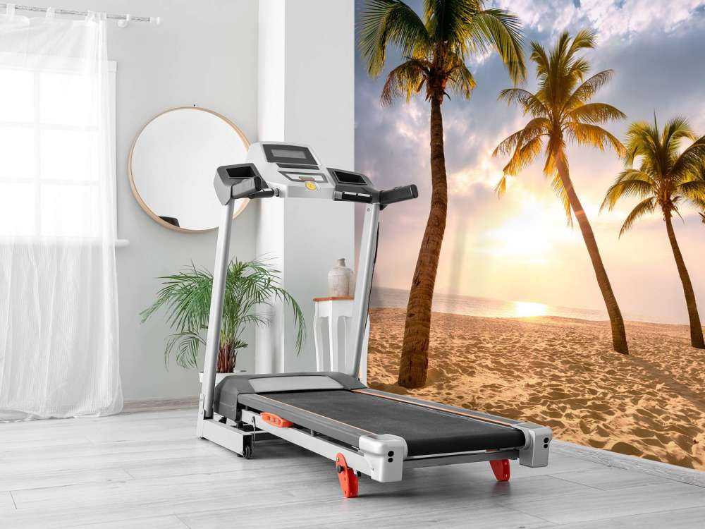 Kokosnusspalmen gegen Sonnenuntergang