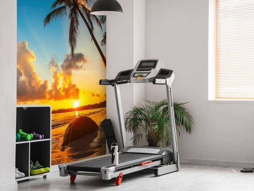 Sonnenuntergang mit Palmen