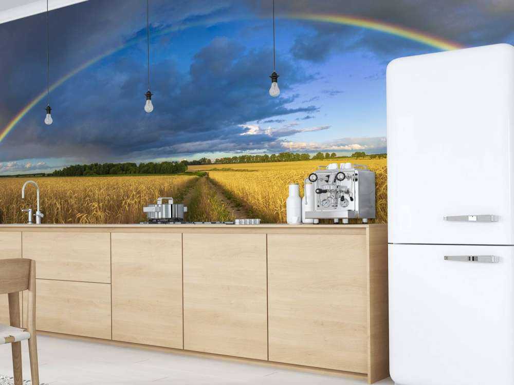 Regenbogen über einem Weizenfeld