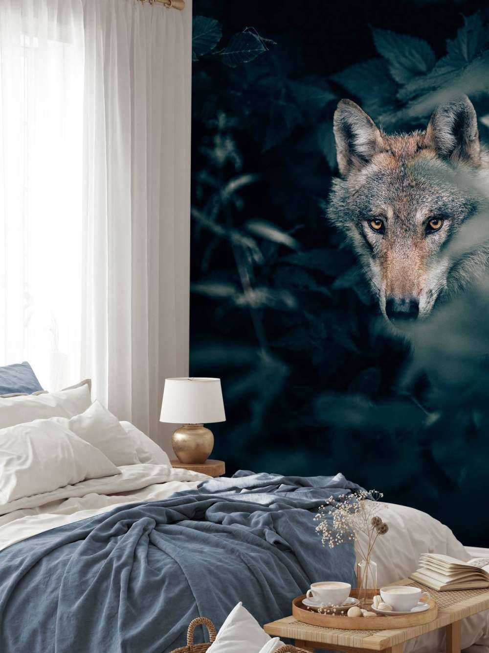 Nahaufnahme Wolf