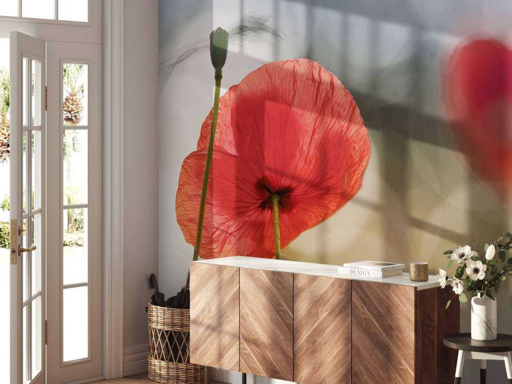 Morning Poppies