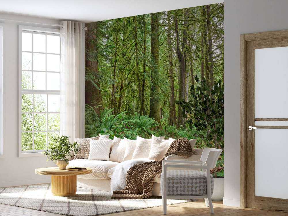 Weg mit Steinen durch den Wald 