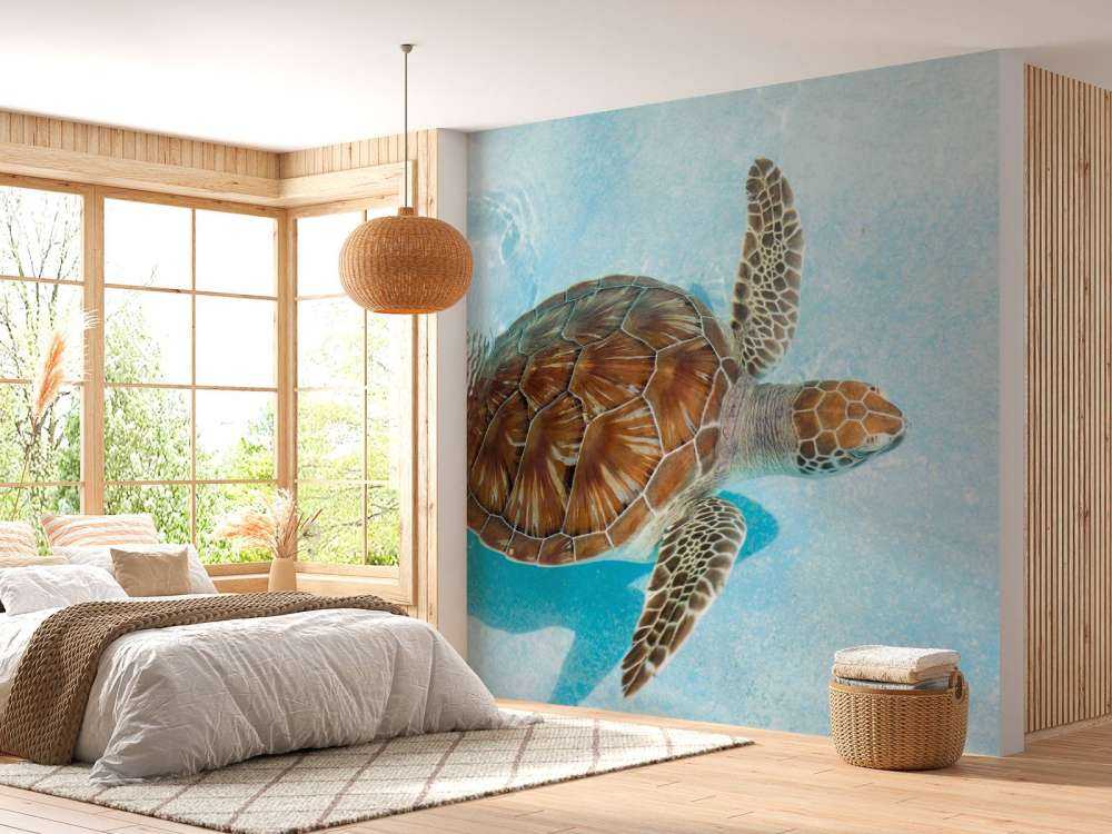 Schildkröte im Wasser