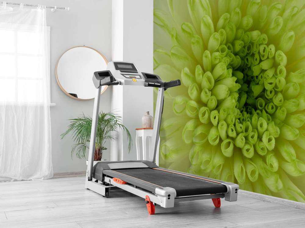 Blume in Nahaufnahme