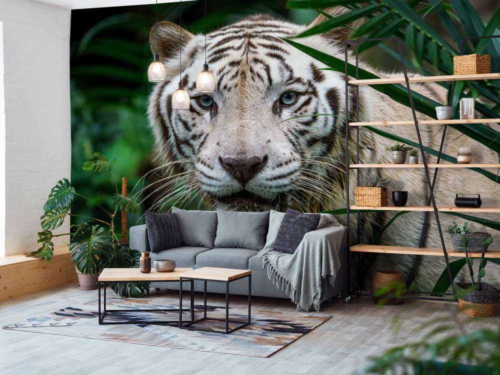 Weißer Tiger