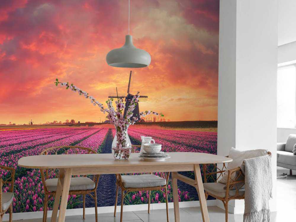 Tulpen mit Mühle