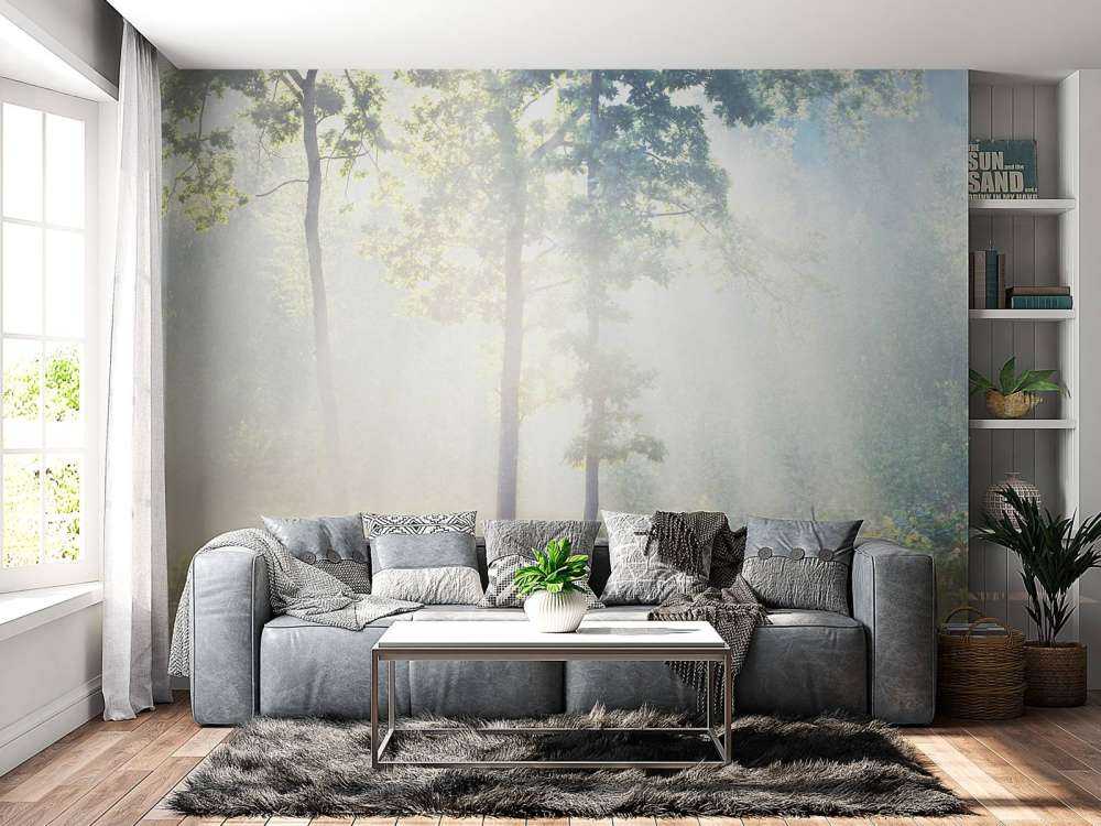 Ein geheimnisvoller Wald