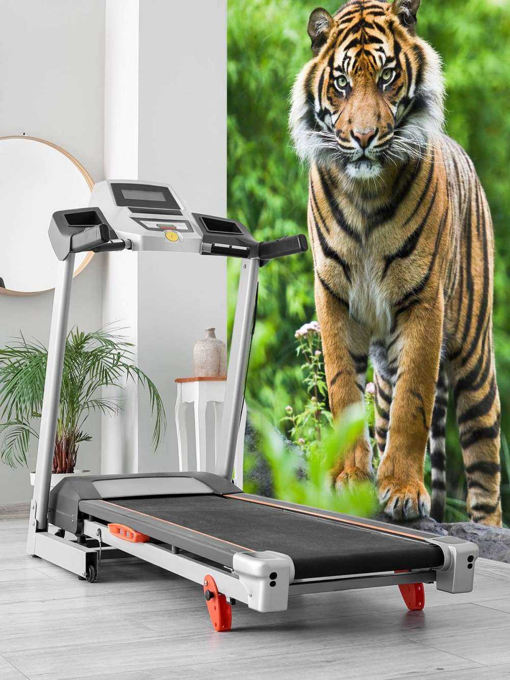 Tiger auf einem Stein