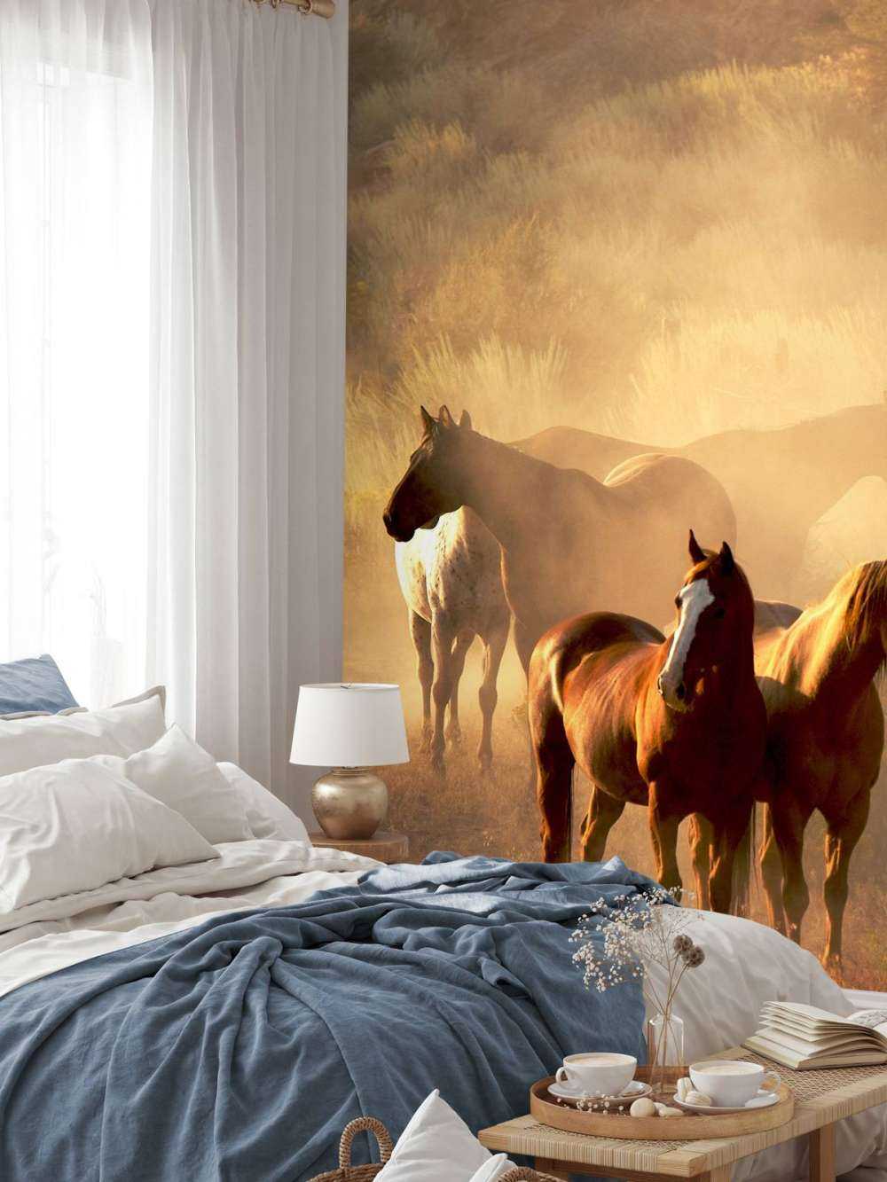 Pferde während des Sonnenuntergangs