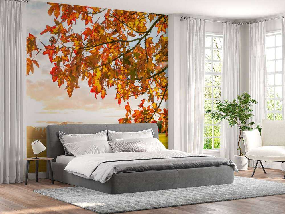 Herbstbaum bei Sonnenuntergang