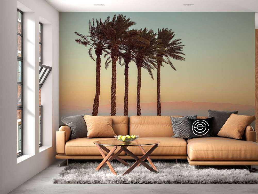 Palmen bei Sonnenuntergang