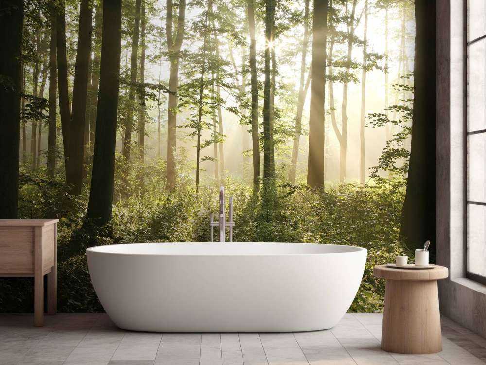 Nebliger Laubwald