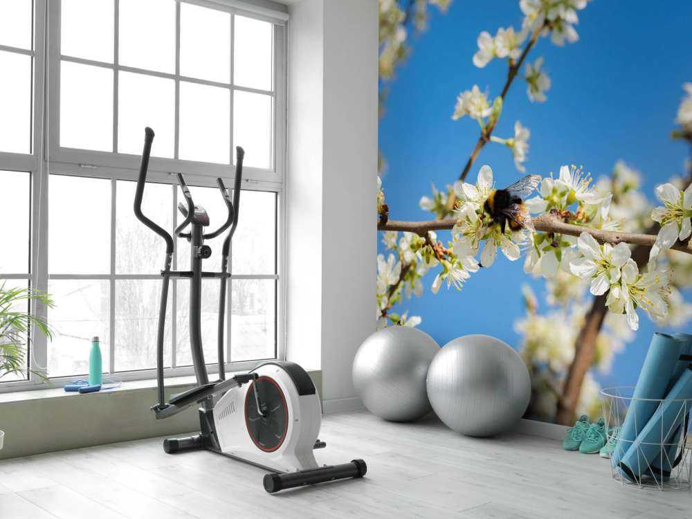 Hummel mit weißen Blüten