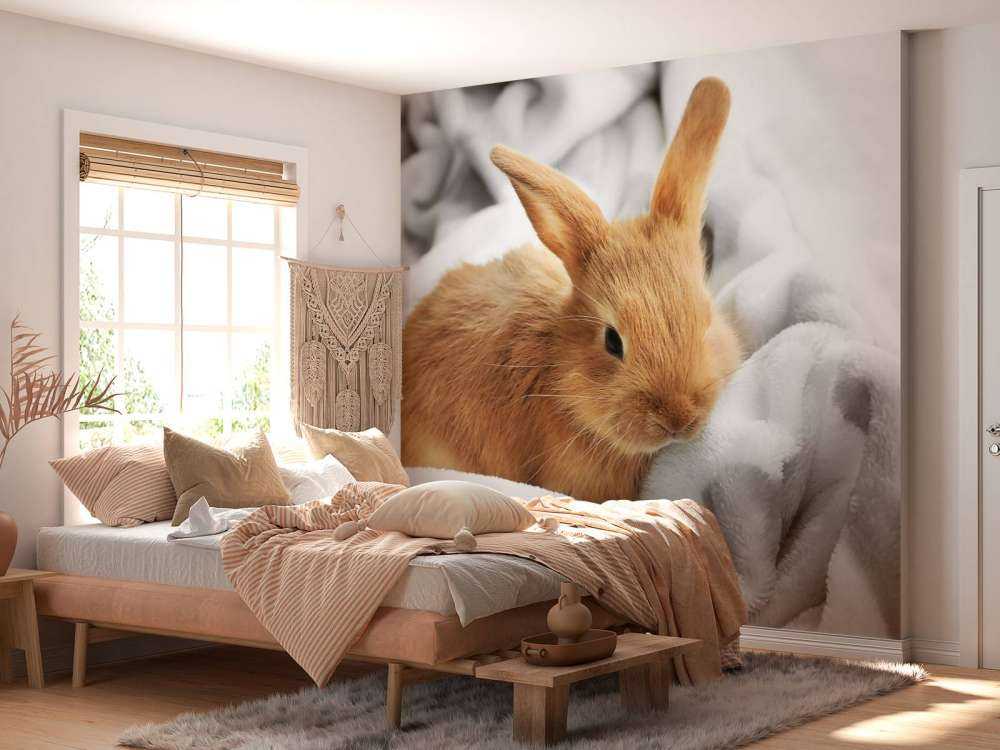 Braunes Kaninchen