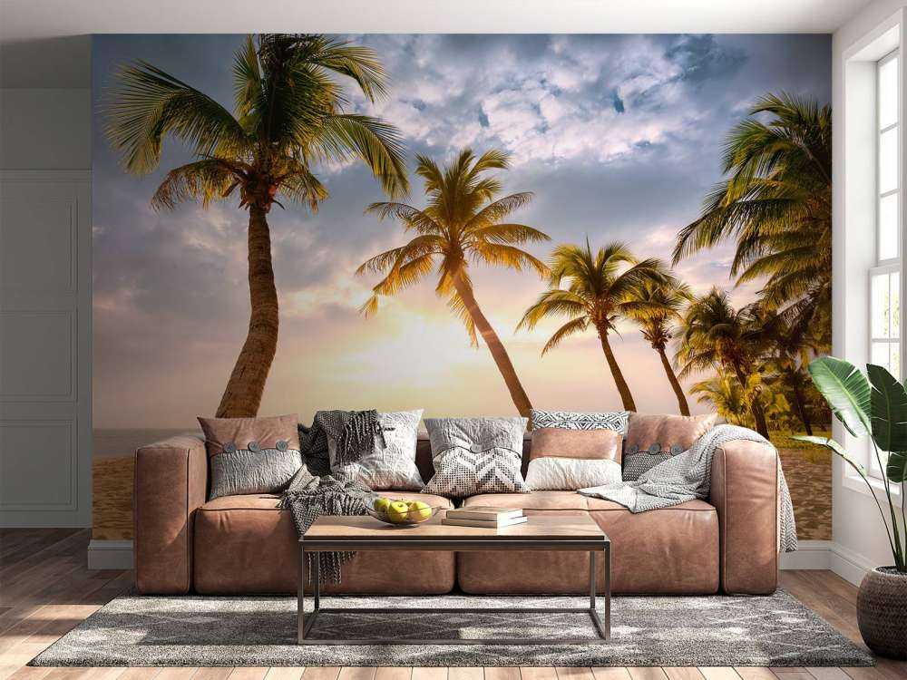 Kokosnusspalmen gegen Sonnenuntergang