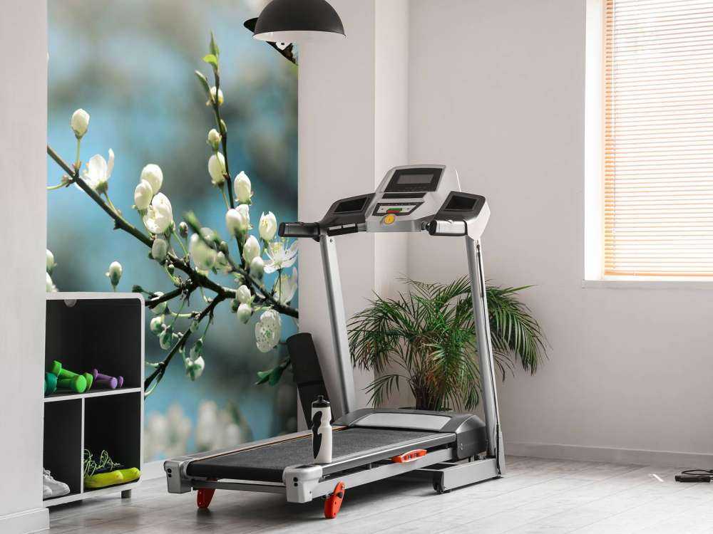 Blaue Schmetterlinge