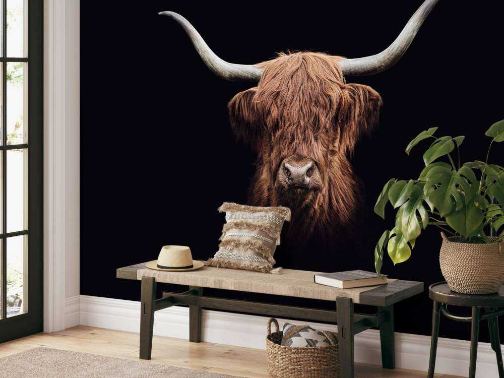 Alte Schottischer Hochländer