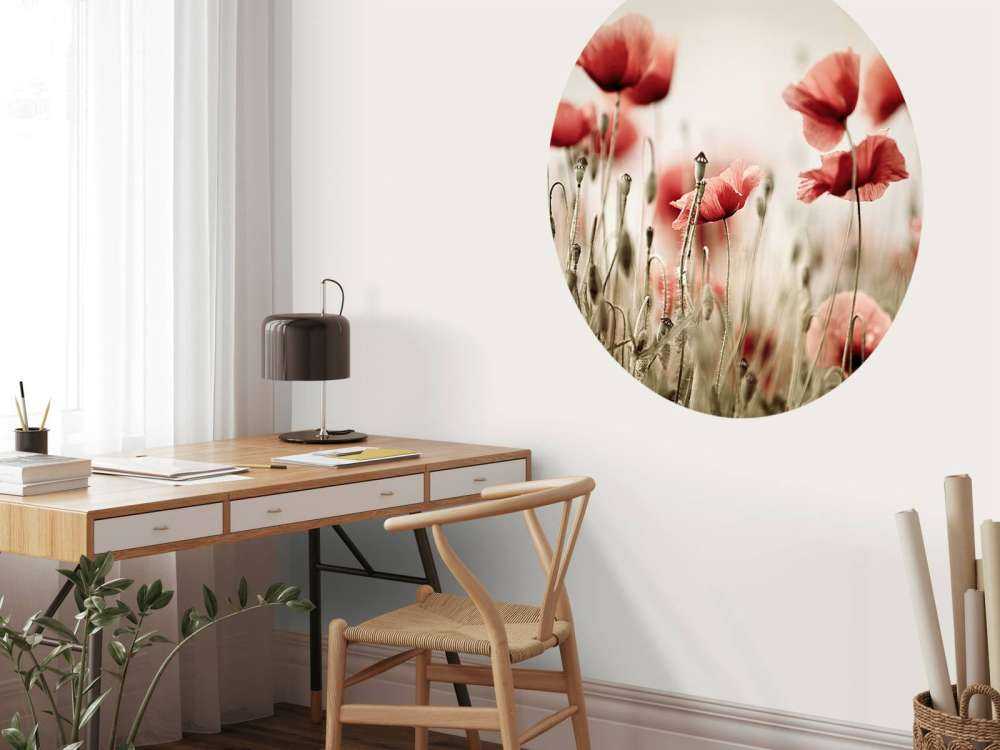Verträumter Mohn
