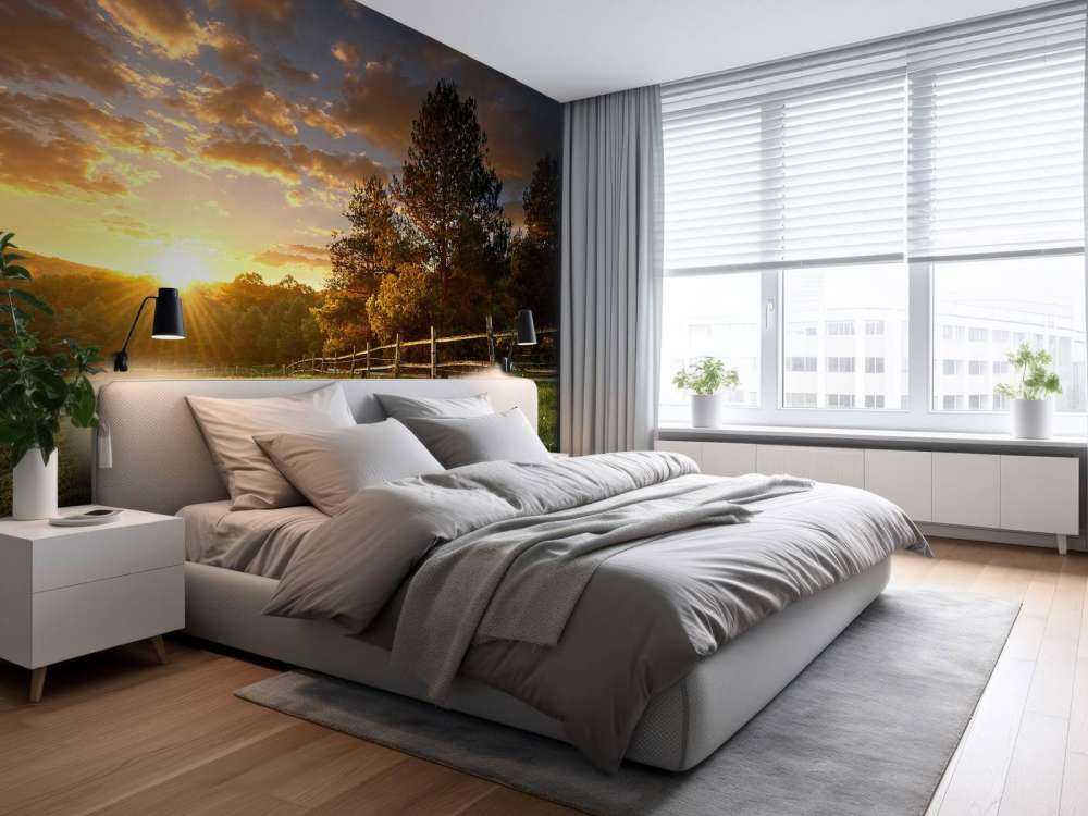 Weide mit Sonnenuntergang