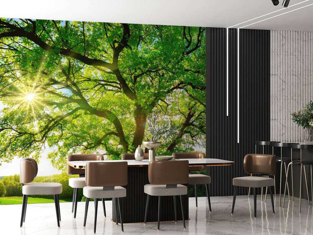 Baum mit Sonnenstrahlen