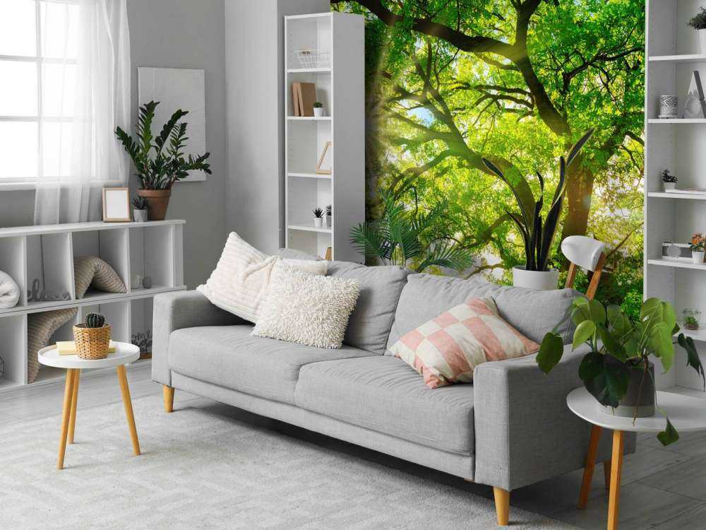 Baum mit Sonnenstrahlen