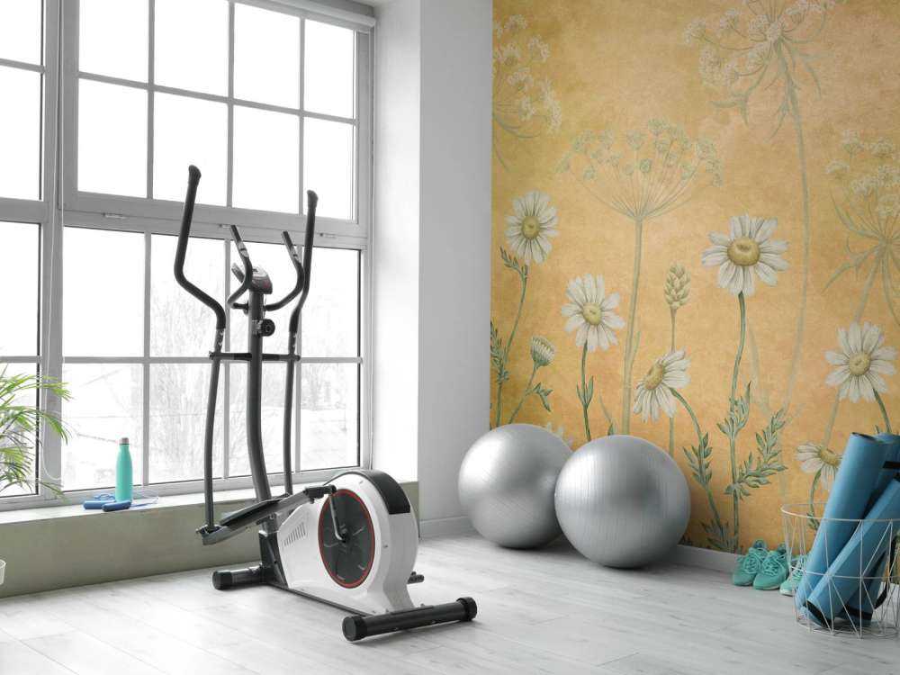 Dazzling Daisies - Yellow