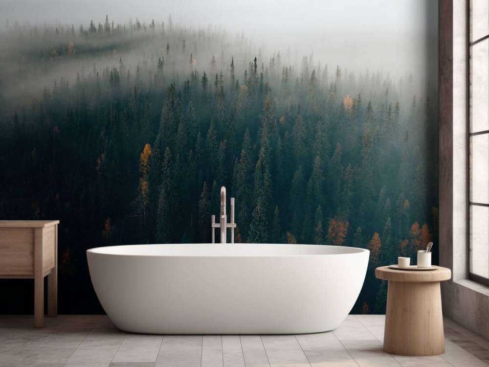 Wald Nebel