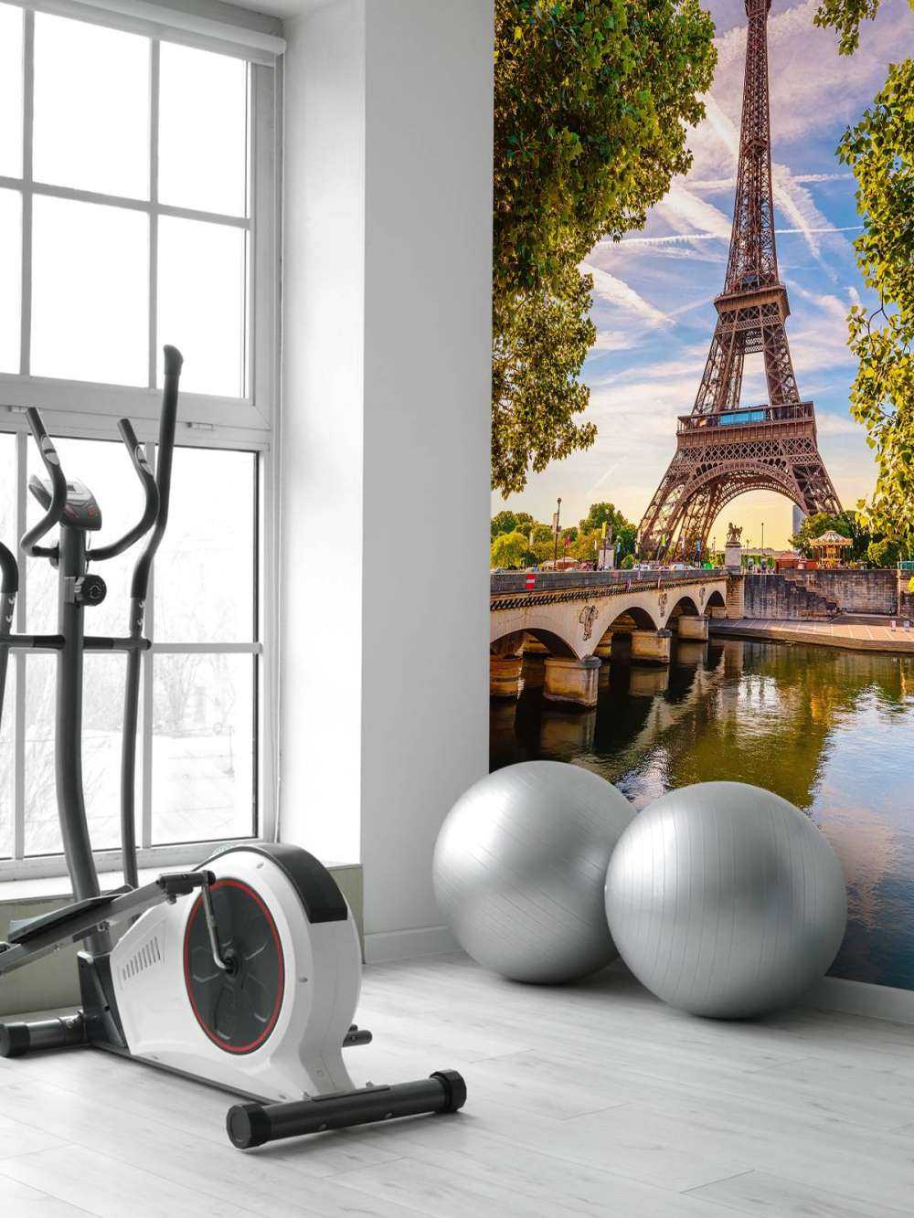 Der Eiffelturm und die Seine