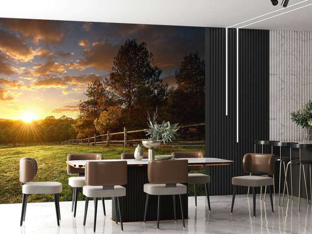 Weide mit Sonnenuntergang