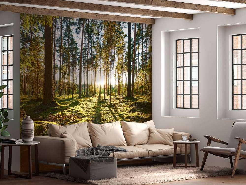 Kiefernwald