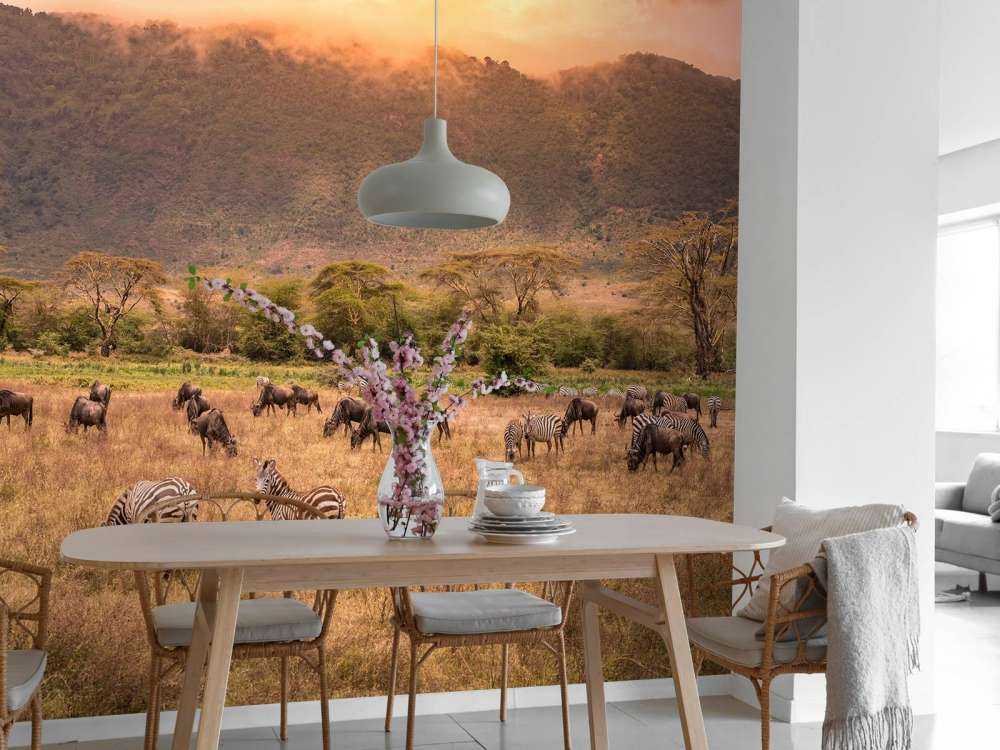 Savannenlandschaft mit Zebras