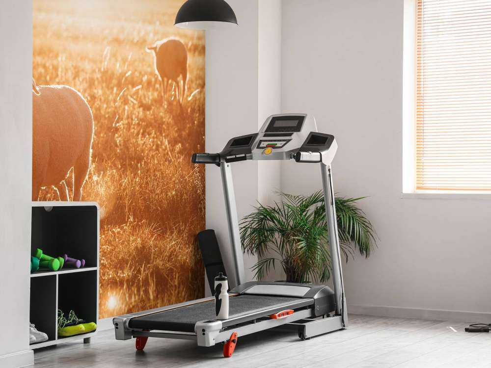 Schafe auf einer schönen Weide