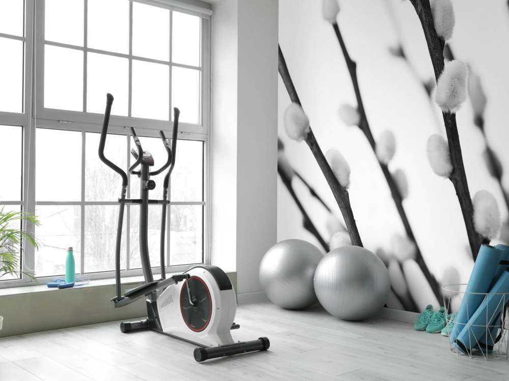 Schwarze und weiße Weide