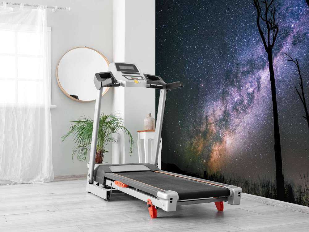 Sterne zwischen den Bäumen