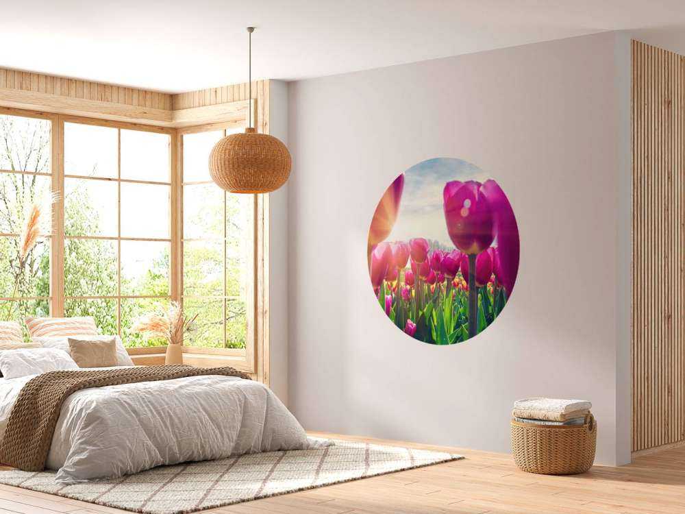 Tulpenfeld rosa