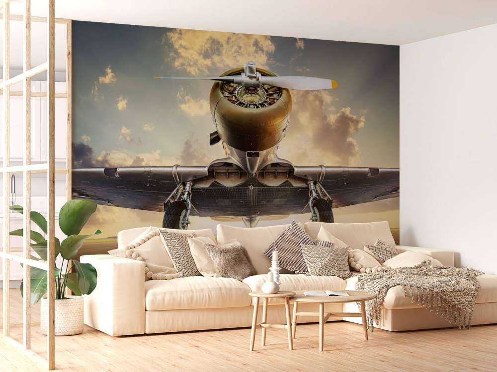 Historisches Flugzeug