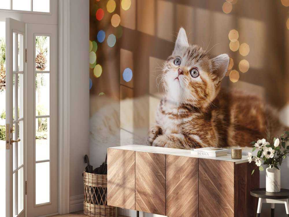 Niedliche Katze