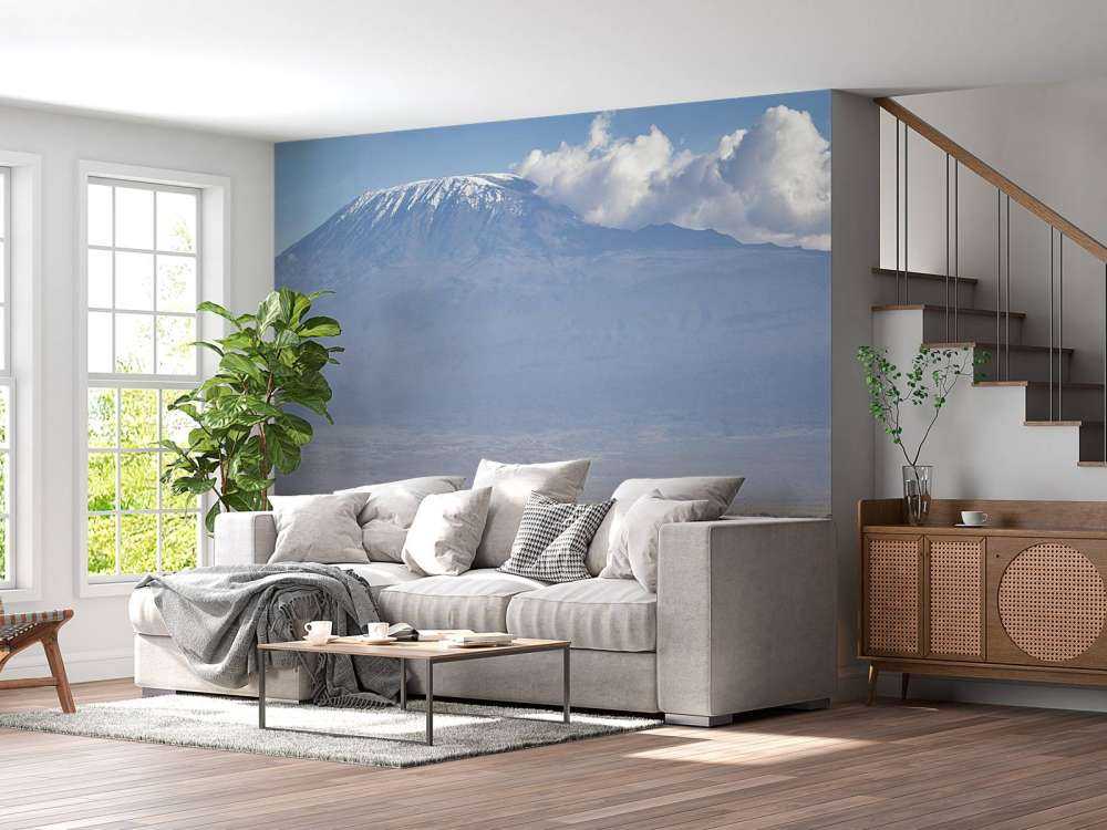 Afrikanische Elefanten